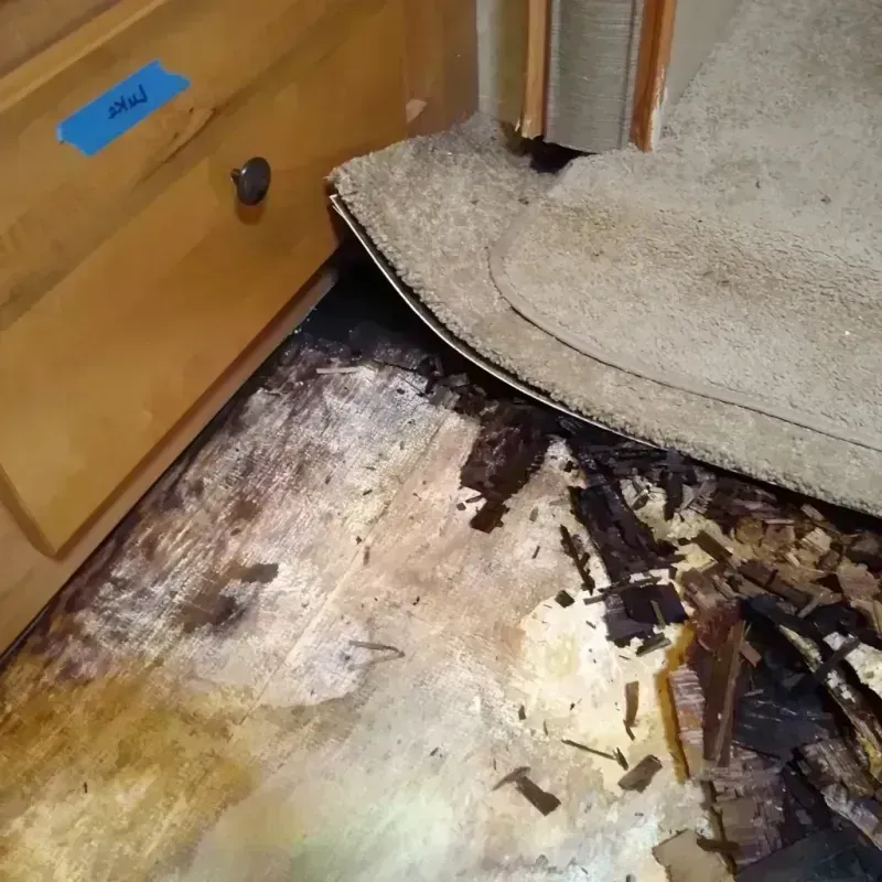 Best Wood Floor Water Damage Service in Towanda, PA